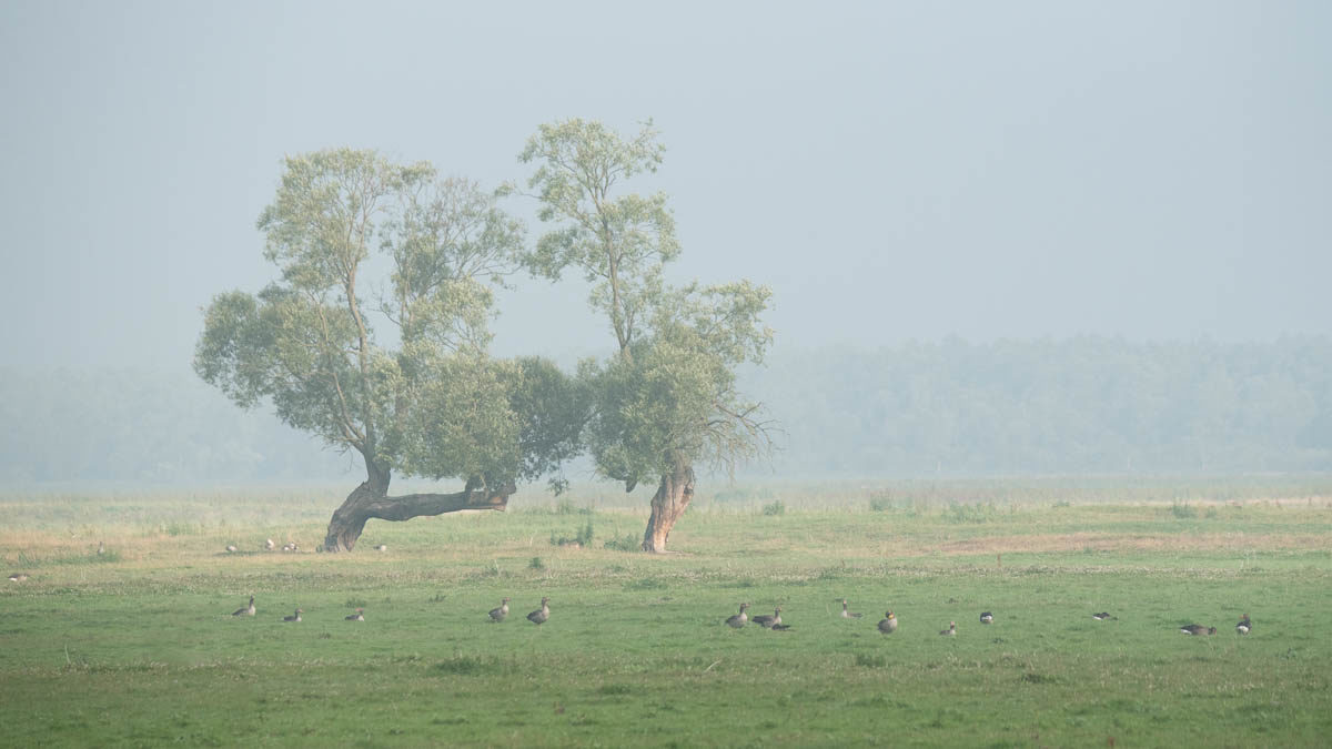 Park Krajobrazowy Ujście Warty