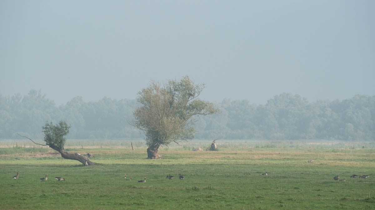 Park Krajobrazowy Ujście Warty