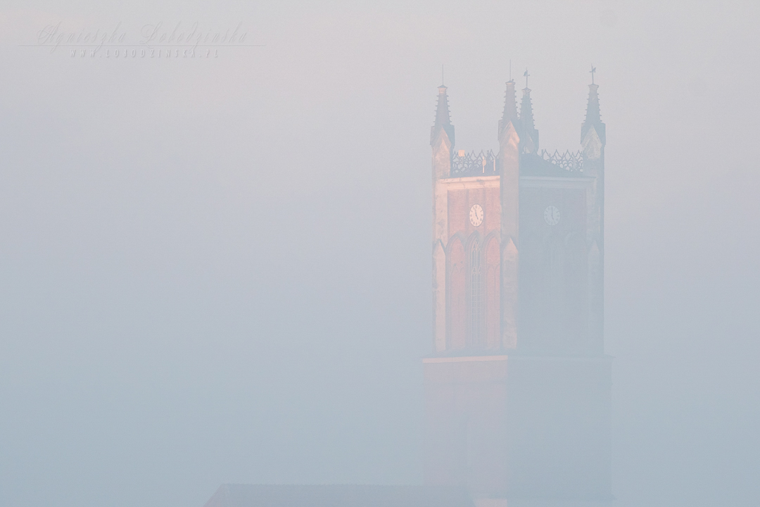 Wieża kościoła we mgle - Słońsk