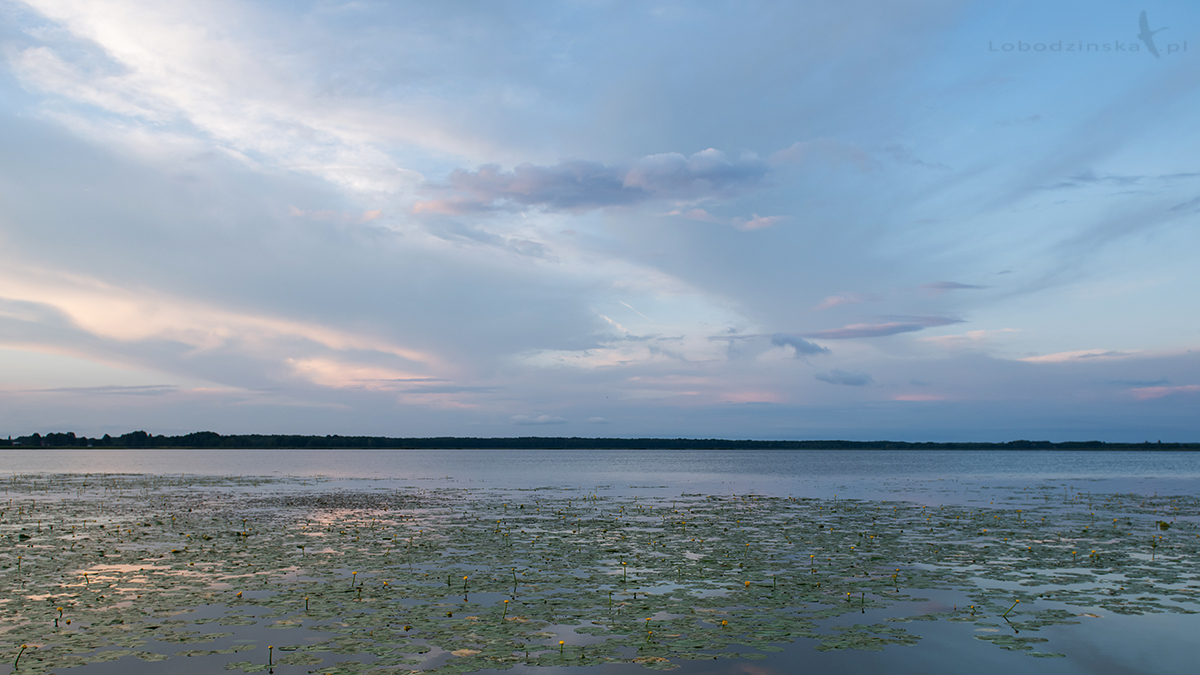 Jezioro Wytyckie jest drugim co do wielkości jeziorem na Pojezierzu Łęczyńsko – Włodawskim