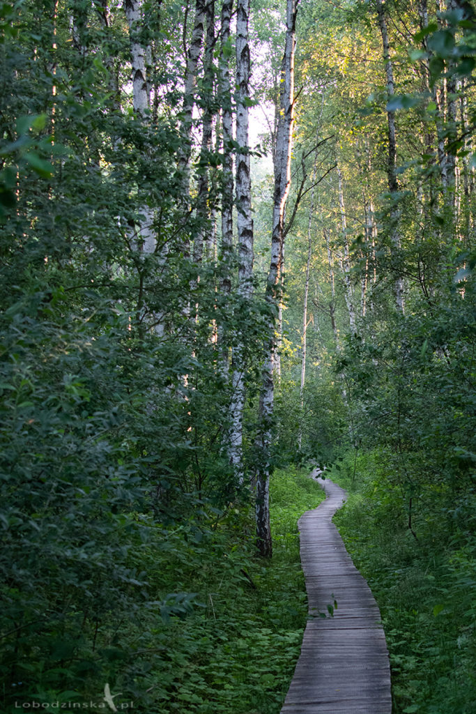 Ścieżka Spławy - Poleski Park Narodowy